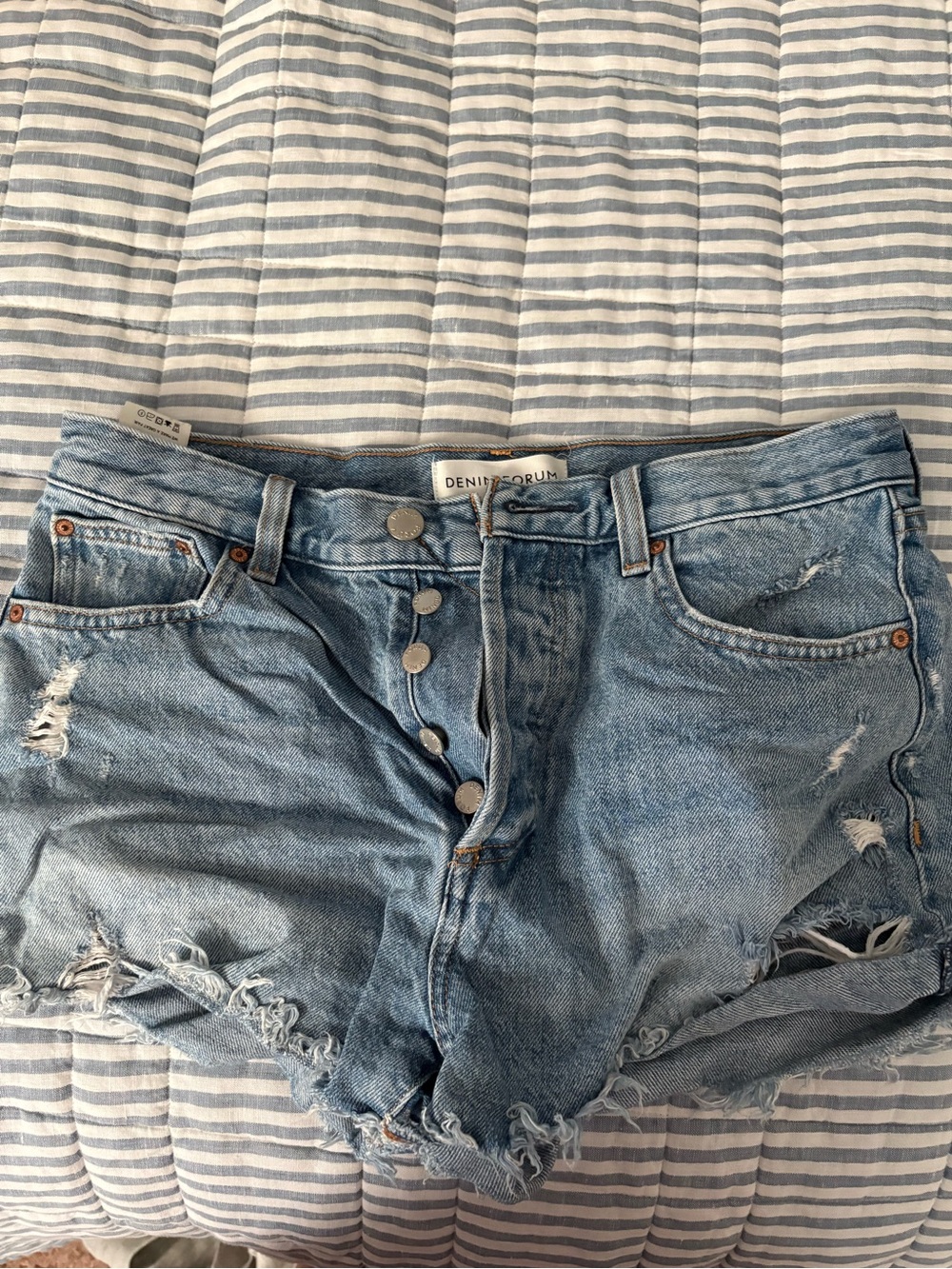 ARITZIA Denim Forum The Ex-Boyfriend Short